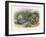 Teasing a Butterfly-Richard Doyle-Framed Art Print