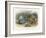 Teasing a Butterfly-Richard Doyle-Framed Art Print