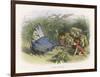 Teasing a Butterfly-Richard Doyle-Framed Art Print