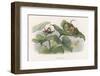 Teasing!-Richard Doyle-Framed Premium Photographic Print