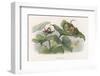 Teasing!-Richard Doyle-Framed Premium Photographic Print