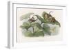 Teasing!-Richard Doyle-Framed Photographic Print