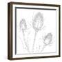 Teasles  2017  (Digital)-Sarah Hough-Framed Giclee Print