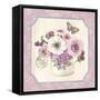 Teatime Anemones-Stefania Ferri-Framed Stretched Canvas