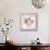 Teatime Roses-Stefania Ferri-Mounted Art Print displayed on a wall