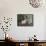 Teatime-Edward George Handel Lucas-Framed Stretched Canvas displayed on a wall