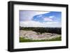 Teatro Greco (Greek Theatre)-Matthew Williams-Ellis-Framed Photographic Print