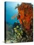 Technical Diver on Coral Reef.-Stephen Frink-Stretched Canvas