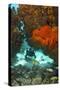 Technical Diver on Coral Reef.-Stephen Frink-Stretched Canvas