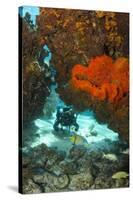 Technical Diver on Coral Reef.-Stephen Frink-Stretched Canvas