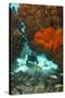 Technical Diver on Coral Reef.-Stephen Frink-Stretched Canvas