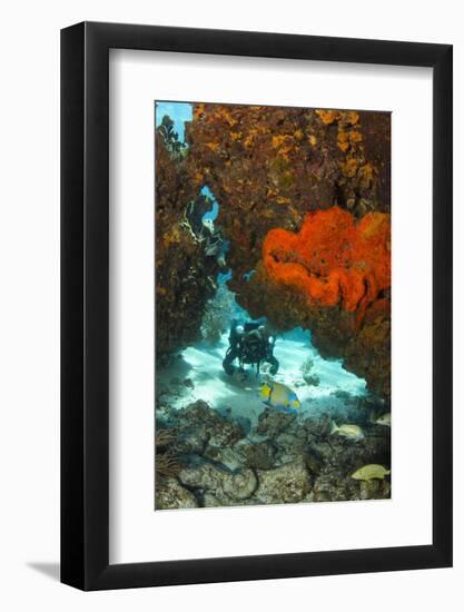 Technical Diver on Coral Reef.-Stephen Frink-Framed Photographic Print