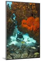 Technical Diver on Coral Reef.-Stephen Frink-Mounted Photographic Print