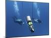 Technical Divers Ascend Near a Nitrox Stage Bottl-null-Mounted Photographic Print
