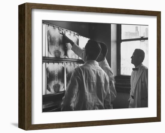 Technicans Examing X-Rays of Bowery Men at Francis Delafield Hospital-null-Framed Photographic Print