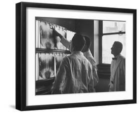 Technicans Examing X-Rays of Bowery Men at Francis Delafield Hospital-null-Framed Photographic Print