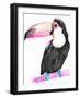 Technicolor Toucan II-Jennifer Parker-Framed Art Print