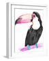 Technicolor Toucan II-Jennifer Parker-Framed Art Print