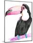 Technicolor Toucan II-Jennifer Parker-Mounted Art Print