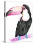 Technicolor Toucan II-Jennifer Parker-Stretched Canvas