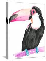 Technicolor Toucan II-Jennifer Parker-Stretched Canvas