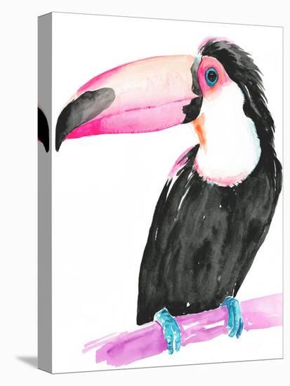 Technicolor Toucan II-Jennifer Parker-Stretched Canvas