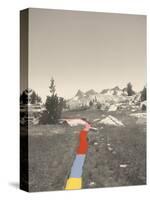 Technicolor Trail-Danielle Kroll-Stretched Canvas