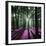 Technicolor Trees 1-Soderberg-Framed Giclee Print