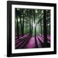 Technicolor Trees 1-Soderberg-Framed Giclee Print