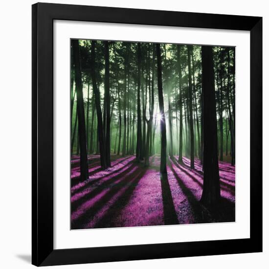 Technicolor Trees 1-Soderberg-Framed Giclee Print