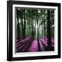 Technicolor Trees 1-Soderberg-Framed Giclee Print