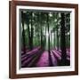 Technicolor Trees 1-Soderberg-Framed Giclee Print