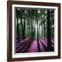 Technicolor Trees 1-Soderberg-Framed Giclee Print