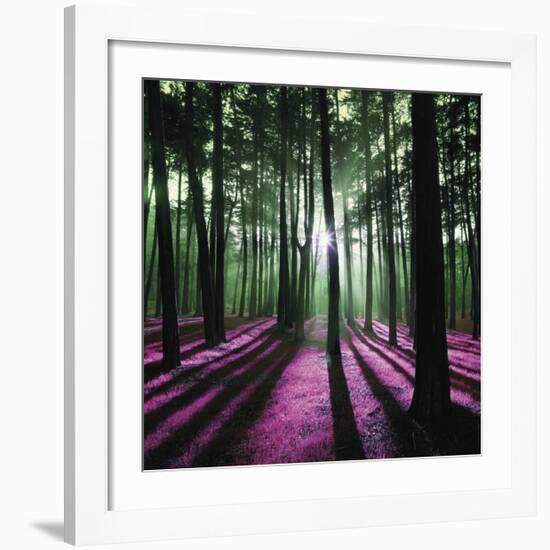 Technicolor Trees 1-Soderberg-Framed Giclee Print