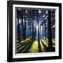 Technicolor Trees 2-Soderberg-Framed Giclee Print