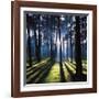 Technicolor Trees 2-Soderberg-Framed Giclee Print