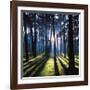 Technicolor Trees 2-Soderberg-Framed Giclee Print