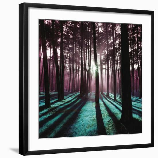 Technicolor Trees 3-Soderberg-Framed Giclee Print