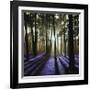 Technicolor Trees 4-Soderberg-Framed Giclee Print