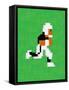 Tecmo Super Bo 8-bit Hall of Fame-null-Framed Stretched Canvas
