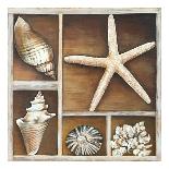 Starfish-Ted Broome-Art Print