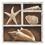 Starfish-Ted Broome-Art Print