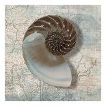 Nautilus-Ted Broome-Art Print