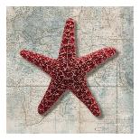 Starfish-Ted Broome-Art Print