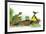 Ted, Ed, and Caroll are Great Friends - Turtle-Valeri Gorbachev-Framed Giclee Print