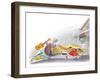 Ted, Ed and Caroll - the Picnic - Turtle-Valeri Gorbachev-Framed Premium Giclee Print