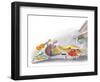 Ted, Ed and Caroll - the Picnic - Turtle-Valeri Gorbachev-Framed Premium Giclee Print