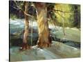 Stretched Canvas