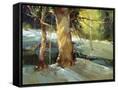 Canvas Black