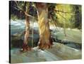 Stretched Canvas